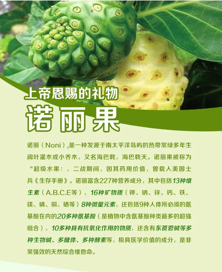 Life Health有机诺丽酵素100%原液750ml【保质期2028/04】 详情图 2