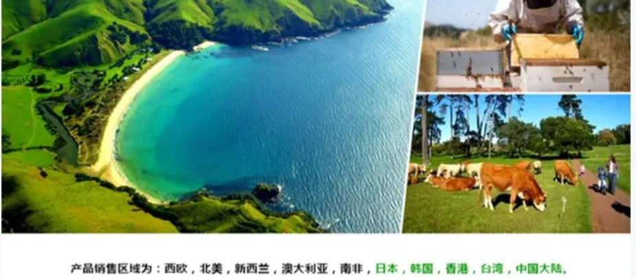 Good Health 好健康 葡萄籽 55000mg 90粒【保质期2029.02】 详情图 5