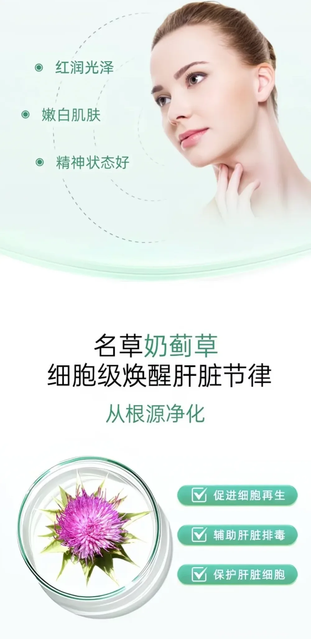 Nutra-Life 纽乐 56000高浓度加波尔多叶护肝 60粒【保质期2027.11】 详情图 3