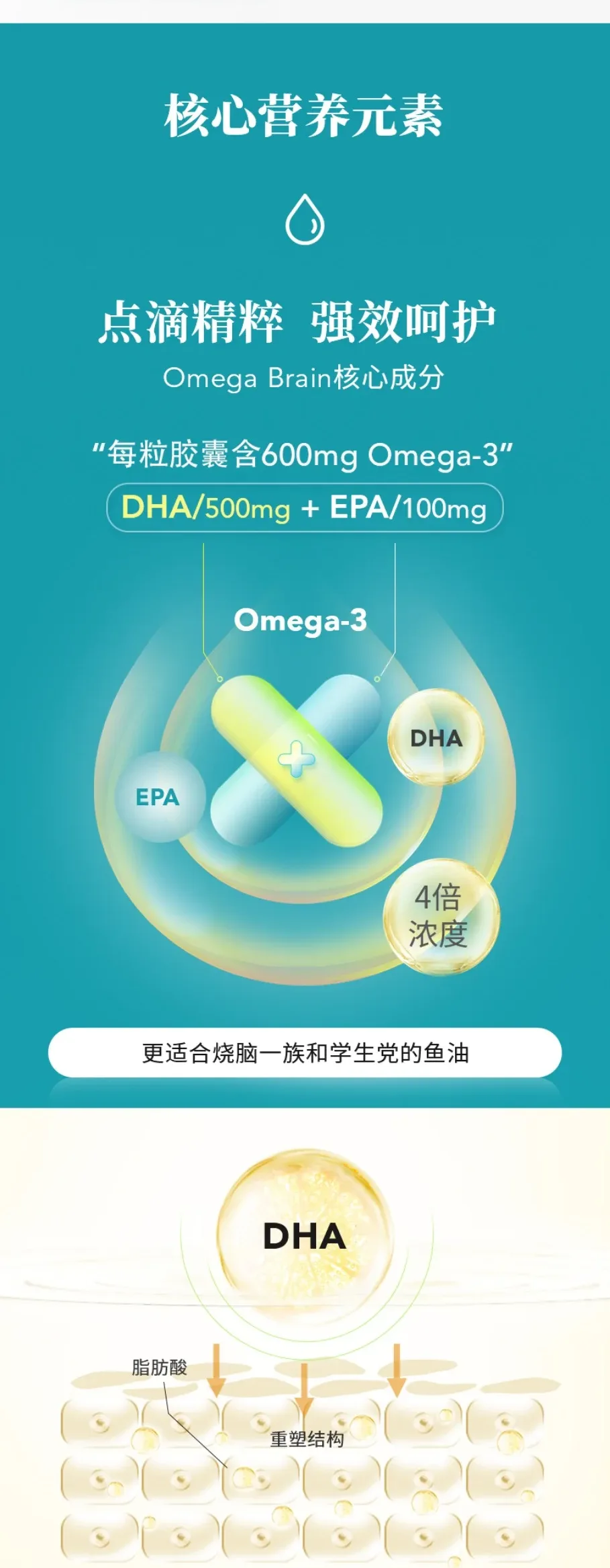 Blackmores 澳佳宝 4倍DHA超浓缩深海鱼油 60粒【保质期2029.02】 详情图 3