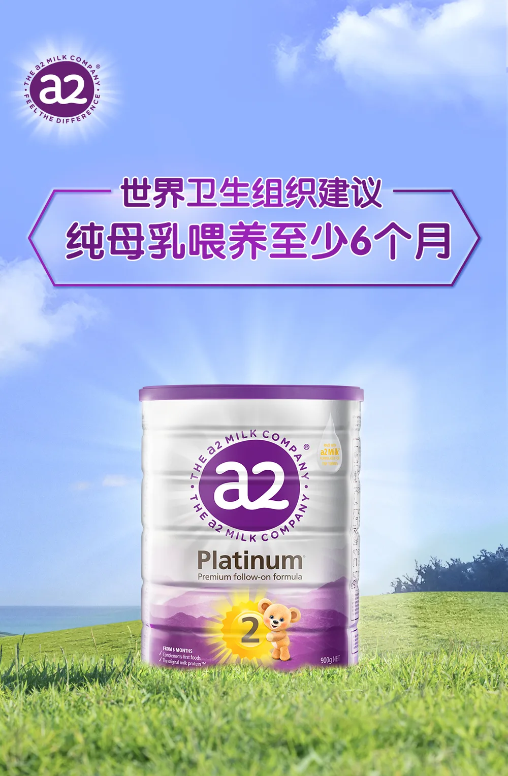 a2白金装 2段 详情图 1